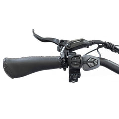 750W Foldable Electric Trike - 48V 14Ah Fat Tire 3 Wheel E-Bike with Baskets